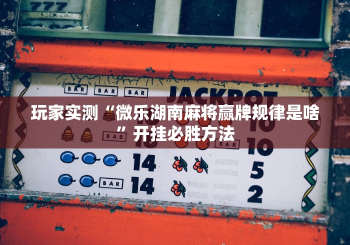 玩家实测“微乐湖南麻将赢牌规律是啥”开挂必胜方法