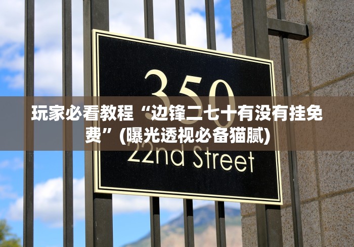 玩家必看教程“边锋二七十有没有挂免费”(曝光透视必备猫腻)