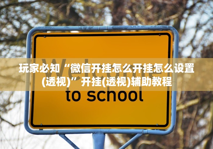 玩家必知“微信开挂怎么开挂怎么设置(透视)”开挂(透视)辅助教程