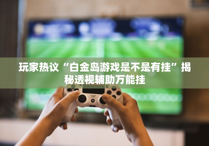 玩家热议“白金岛游戏是不是有挂”揭秘透视辅助万能挂