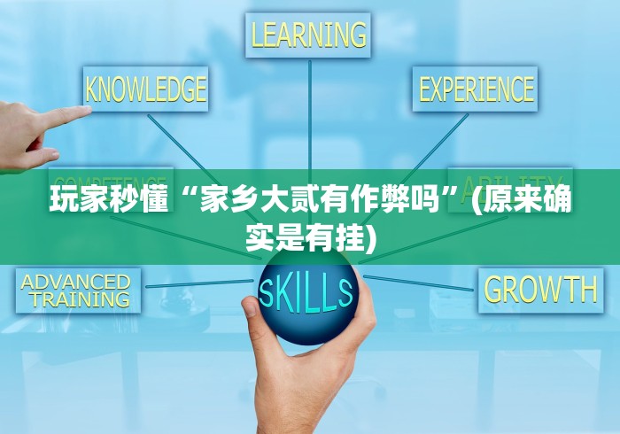 玩家秒懂“家乡大贰有作弊吗”(原来确实是有挂)