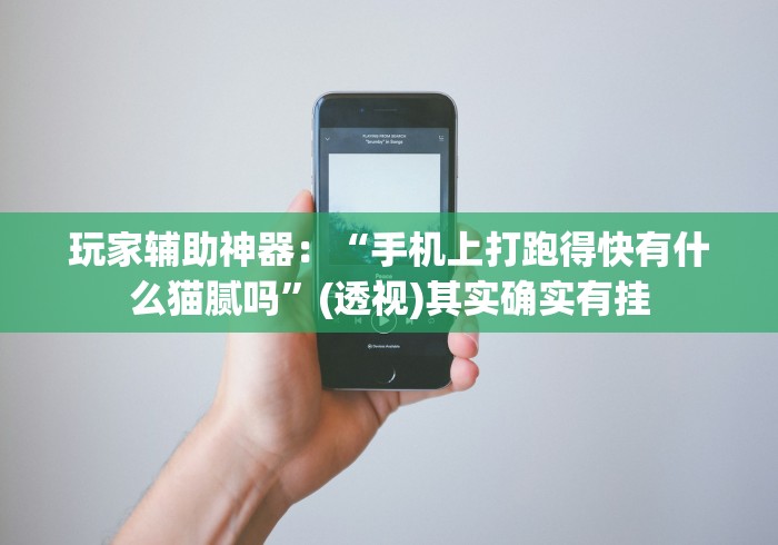 玩家辅助神器：“手机上打跑得快有什么猫腻吗”(透视)其实确实有挂