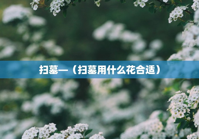 扫墓—（扫墓用什么花合适）