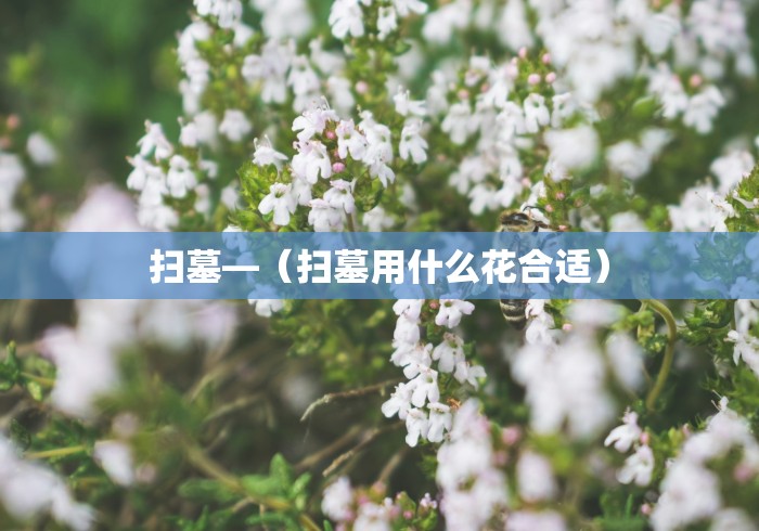 辅助挂机软件“微乐沈阳麻将制胜法宝最新辅助详细教程