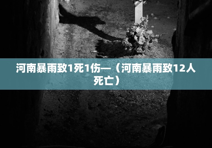 河南暴雨致1死1伤—（河南暴雨致12人死亡）