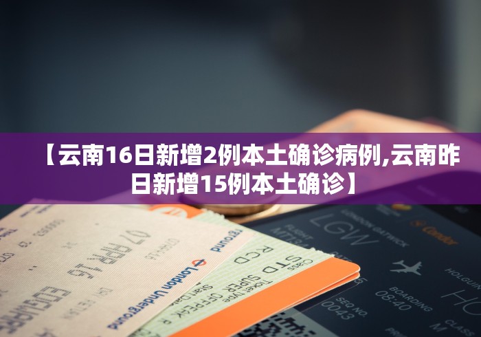 辅助挂机软件“微乐沈阳麻将制胜法宝最新辅助详细教程