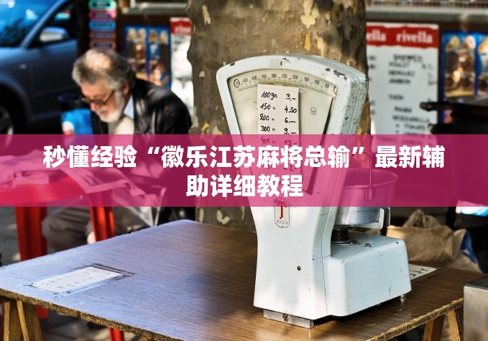 秒懂经验“徽乐江苏麻将总输”最新辅助详细教程