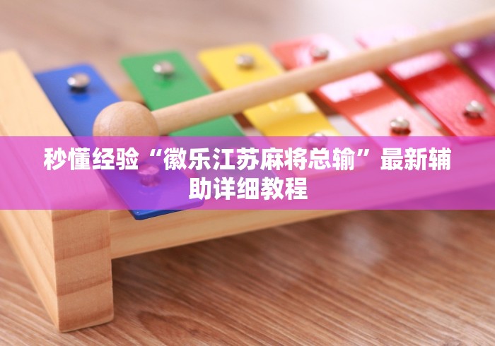 秒懂经验“徽乐江苏麻将总输”最新辅助详细教程