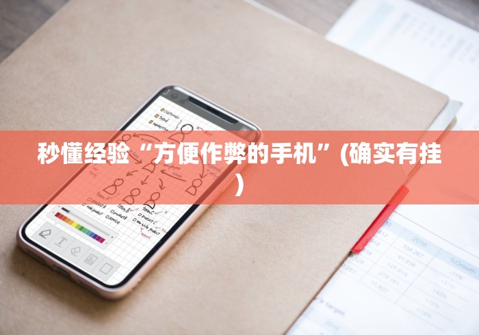 秒懂经验“方便作弊的手机”(确实有挂)