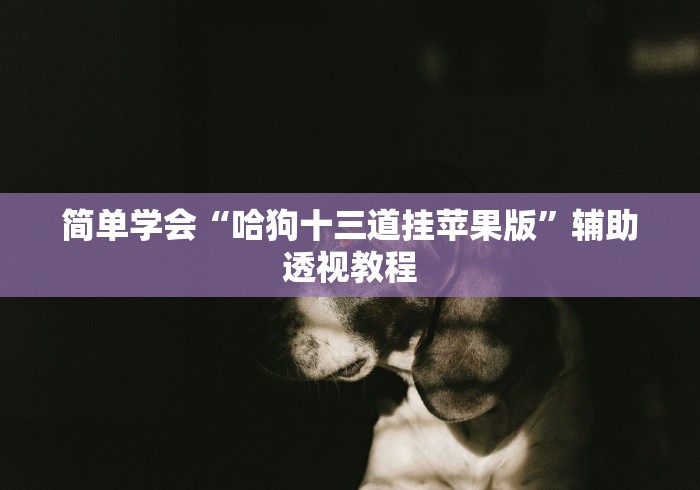 简单学会“哈狗十三道挂苹果版”辅助透视教程