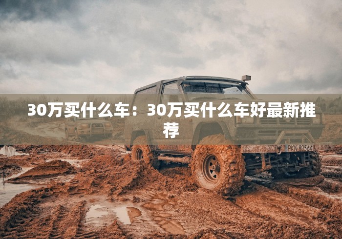 30万买什么车：30万买什么车好最新推荐