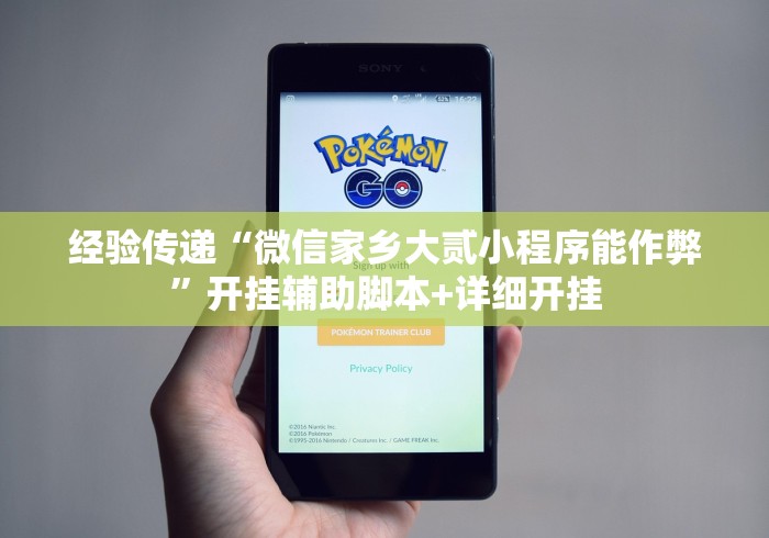 经验传递“微信家乡大贰小程序能作弊”开挂辅助脚本+详细开挂