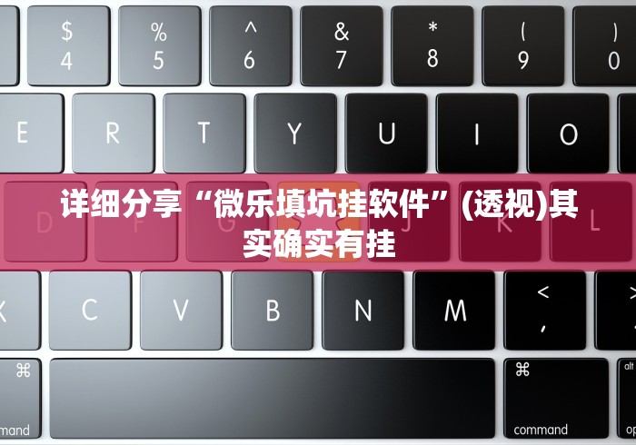 详细分享“微乐填坑挂软件”(透视)其实确实有挂