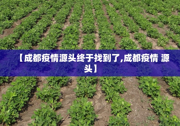 【成都疫情源头终于找到了,成都疫情 源头】