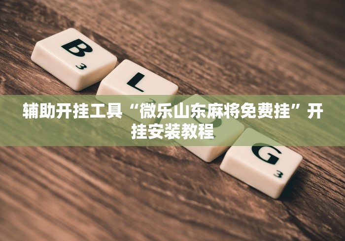 辅助开挂工具“微乐山东麻将免费挂	”开挂安装教程