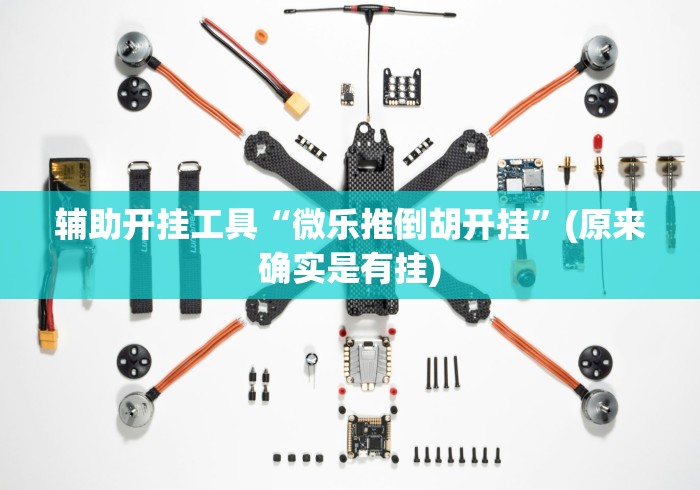 辅助开挂工具“微乐推倒胡开挂”(原来确实是有挂)