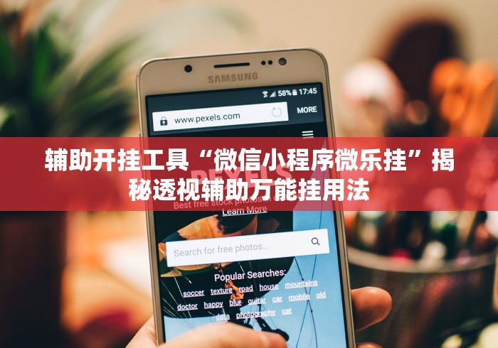 辅助开挂工具“微信小程序微乐挂”揭秘透视辅助万能挂用法