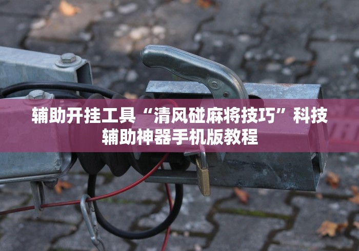 辅助开挂工具“清风碰麻将技巧”科技辅助神器手机版教程
