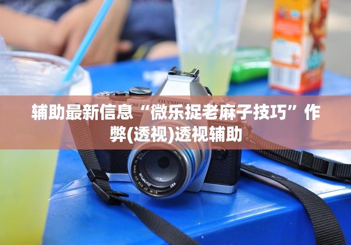 辅助最新信息“微乐捉老麻子技巧”作弊(透视)透视辅助