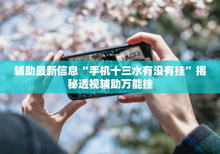 辅助最新信息“手机十三水有没有挂”揭秘透视辅助万能挂