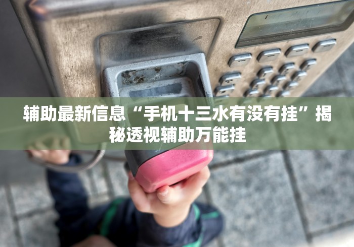 辅助最新信息“手机十三水有没有挂”揭秘透视辅助万能挂