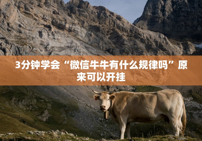 3分钟学会“微信牛牛有什么规律吗”原来可以开挂