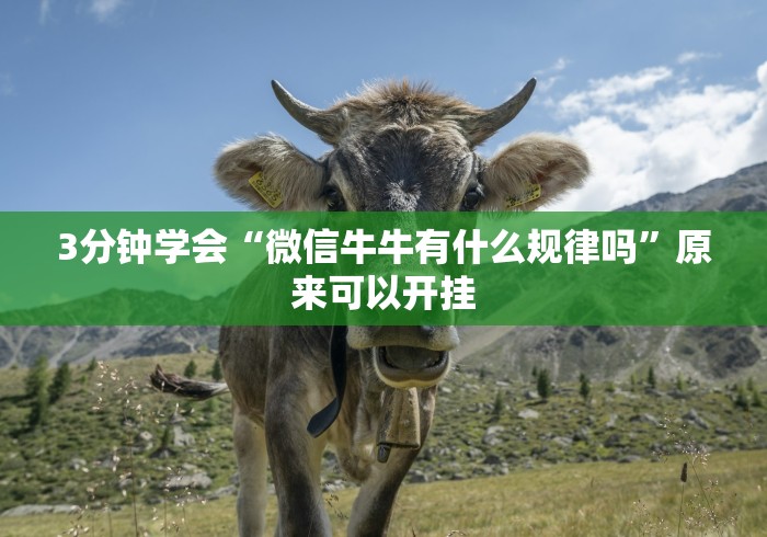 3分钟学会“微信牛牛有什么规律吗	”原来可以开挂