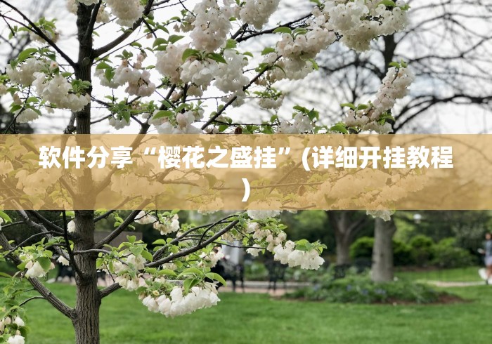 软件分享“樱花之盛挂”(详细开挂教程)