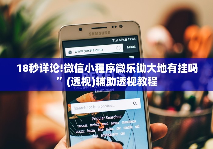 18秒详论!微信小程序微乐锄大地有挂吗”(透视)辅助透视教程