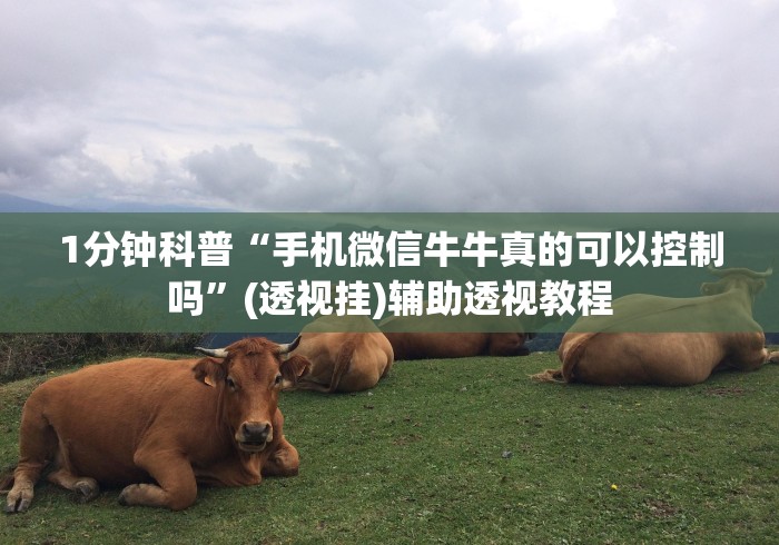 1分钟科普“手机微信牛牛真的可以控制吗”(透视挂)辅助透视教程