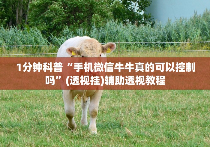 1分钟科普“手机微信牛牛真的可以控制吗”(透视挂)辅助透视教程