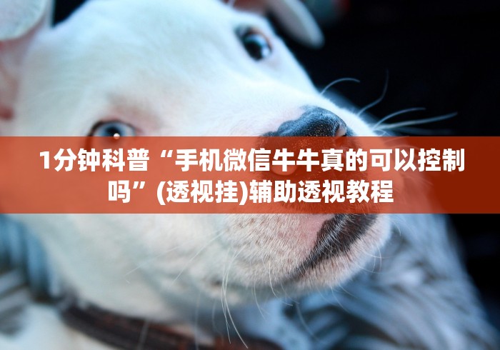 1分钟科普“手机微信牛牛真的可以控制吗	”(透视挂)辅助透视教程