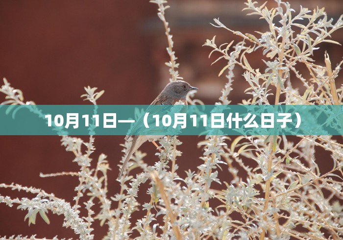 10月11日—（10月11日什么日子）