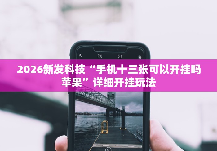 2026新发科技“手机十三张可以开挂吗苹果”详细开挂玩法