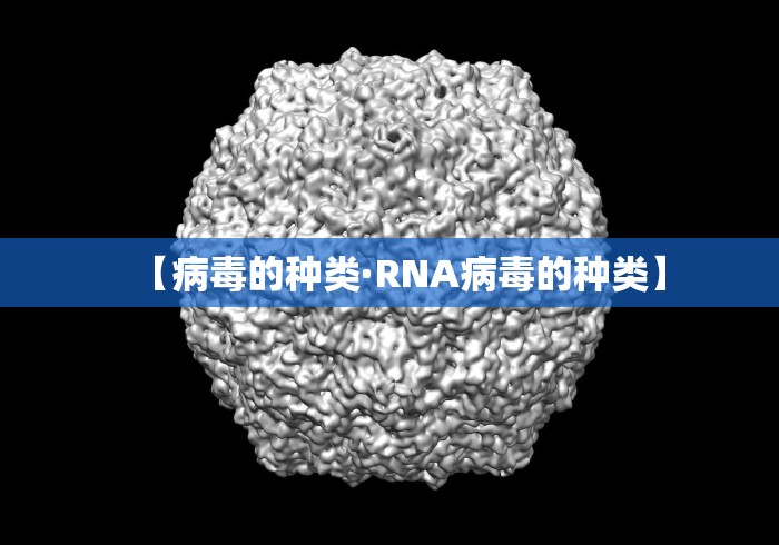 【病毒的种类·RNA病毒的种类】