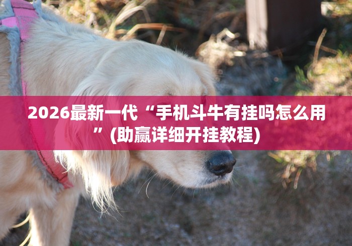 2026最新一代“手机斗牛有挂吗怎么用”(助赢详细开挂教程)