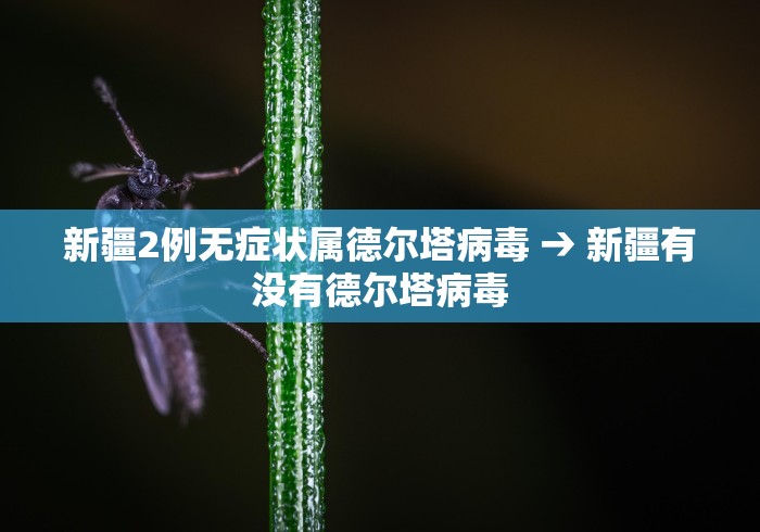 新疆2例无症状属德尔塔病毒 → 新疆有没有德尔塔病毒