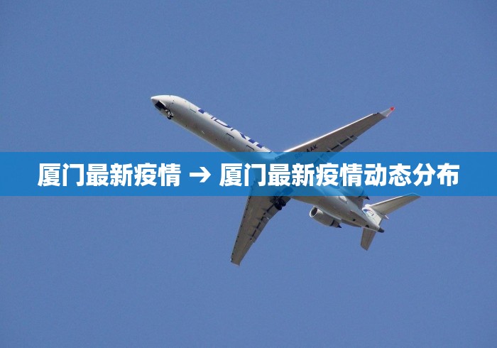 厦门最新疫情 → 厦门最新疫情动态分布