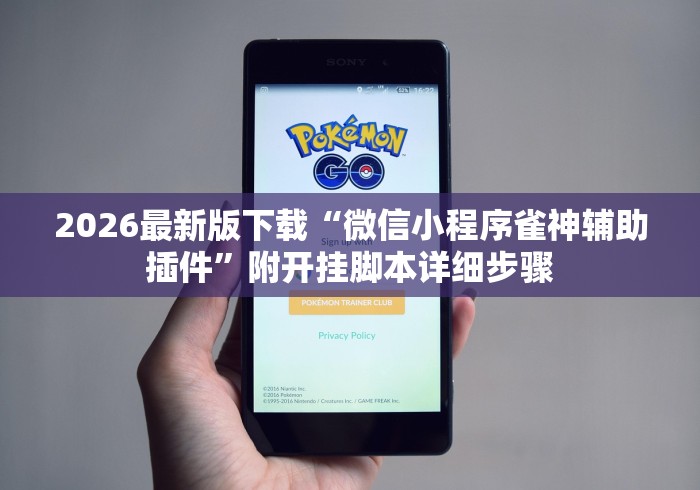 2026最新版下载“微信小程序雀神辅助插件”附开挂脚本详细步骤