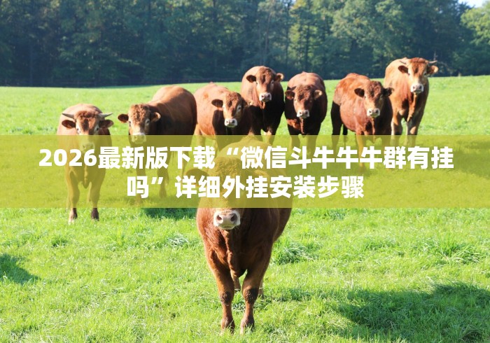 2026最新版下载“微信斗牛牛牛群有挂吗”详细外挂安装步骤