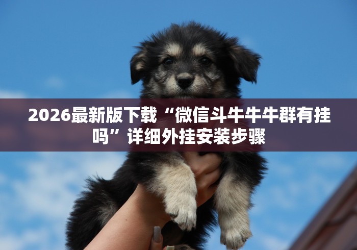 2026最新版下载“微信斗牛牛牛群有挂吗”详细外挂安装步骤
