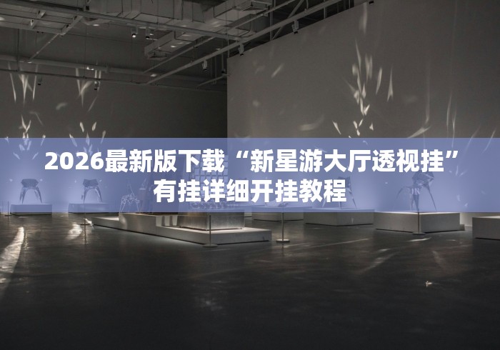 2026最新版下载“新星游大厅透视挂”有挂详细开挂教程