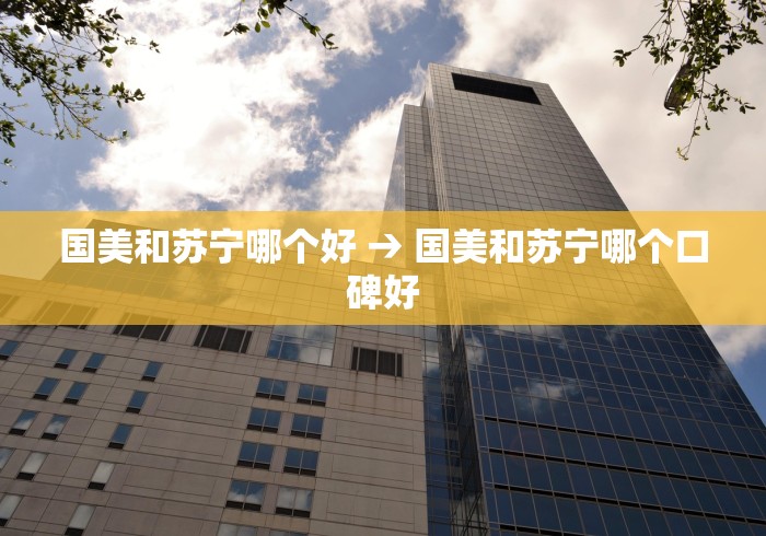 国美和苏宁哪个好 → 国美和苏宁哪个口碑好