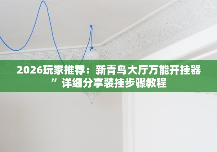 2026玩家推荐：新青鸟大厅万能开挂器”详细分享装挂步骤教程