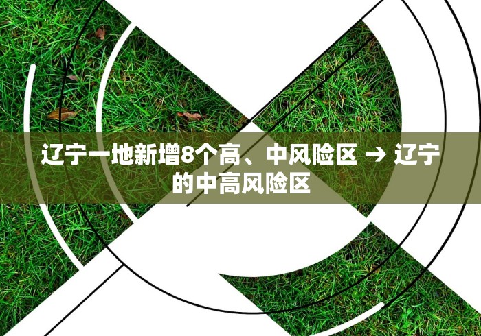 辽宁一地新增8个高、中风险区 → 辽宁的中高风险区