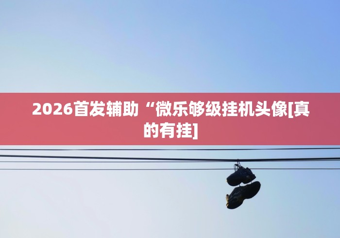 2026首发辅助“微乐够级挂机头像[真的有挂]