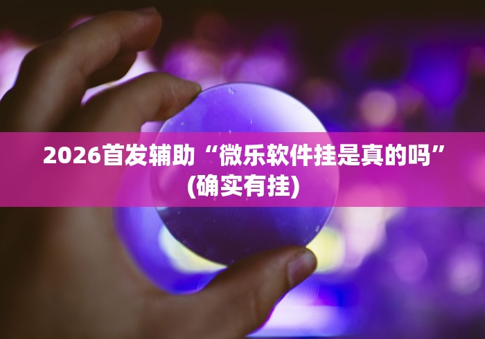 2026首发辅助“微乐软件挂是真的吗”(确实有挂)