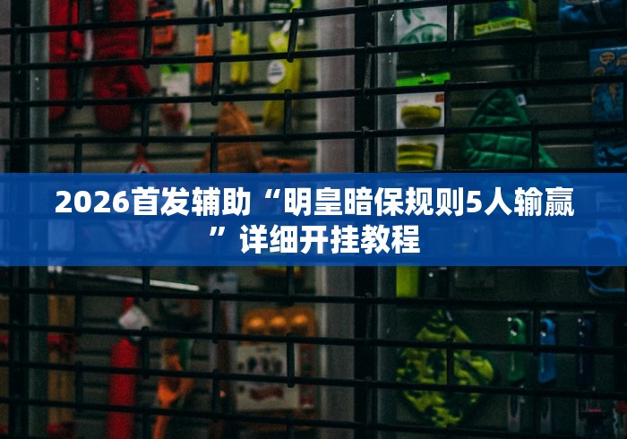 2026首发辅助“明皇暗保规则5人输赢”详细开挂教程