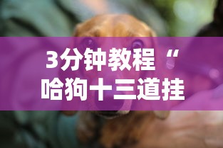 3分钟教程“哈狗十三道挂苹果版”详细分享装挂步骤教程