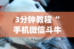 3分钟教程“手机微信斗牛开挂技巧(确实真的有挂)